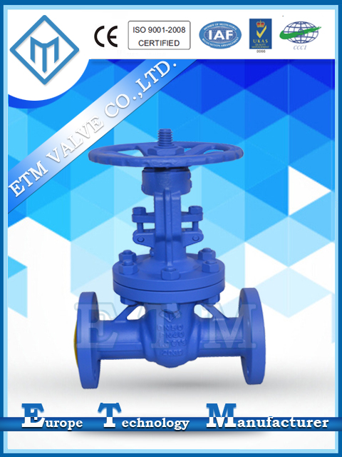 DIN Standard F5 Gate Valves